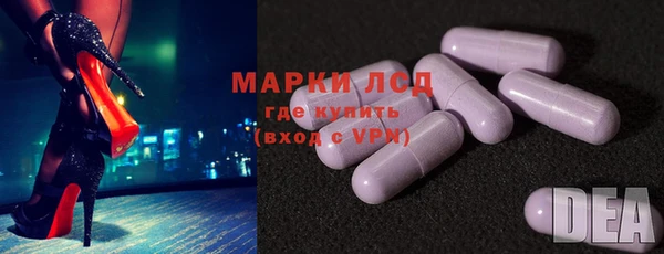 твердый Богданович