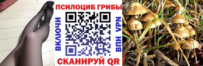 Купить закладки  Купино  Псилоцибиновые грибы ЛСД 