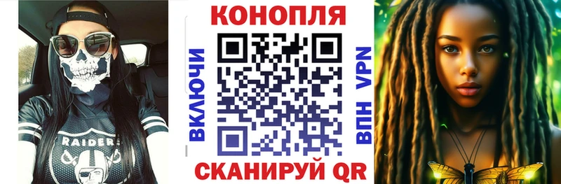 Купить где  Купино  Каннабис семена 